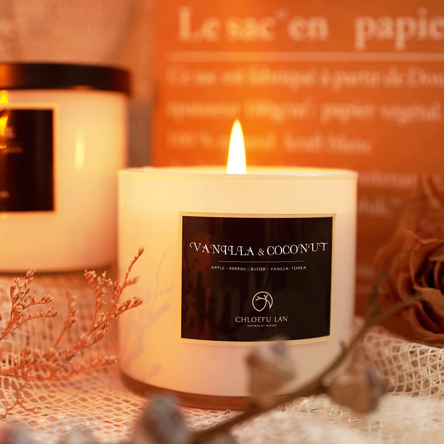 Chloefu LAN Vanilla & Coconut Scented Candle Sets Luxury Soy Jar Candle 7.1oz45 Hour Long Lasting Burn Highly Scented Valentines